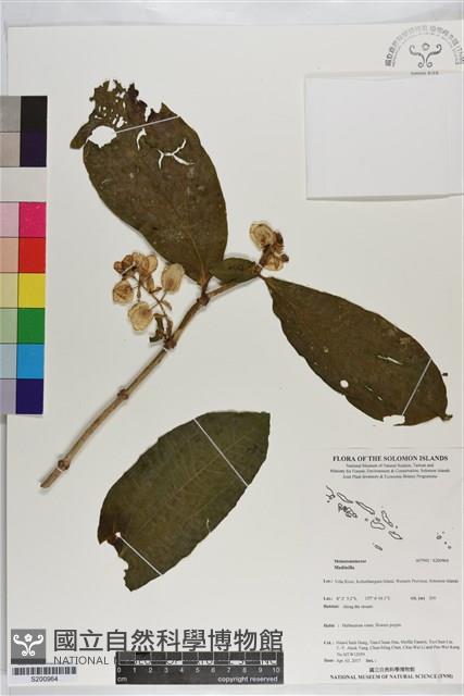 登錄號:S200964藏品圖，第1張