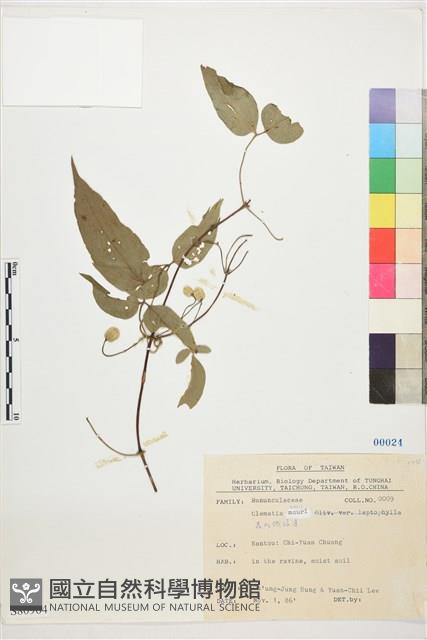 登錄號:S080964藏品圖，第1張