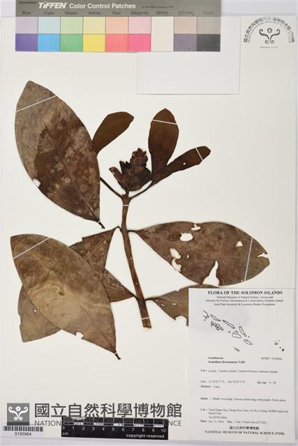 登錄號:S195964藏品圖，第1張