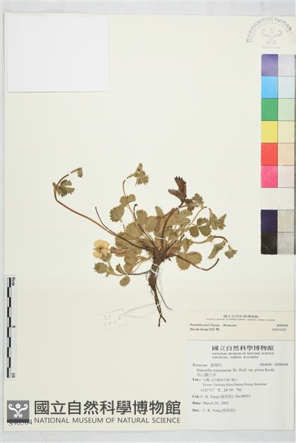 登錄號:S096564藏品圖，第1張