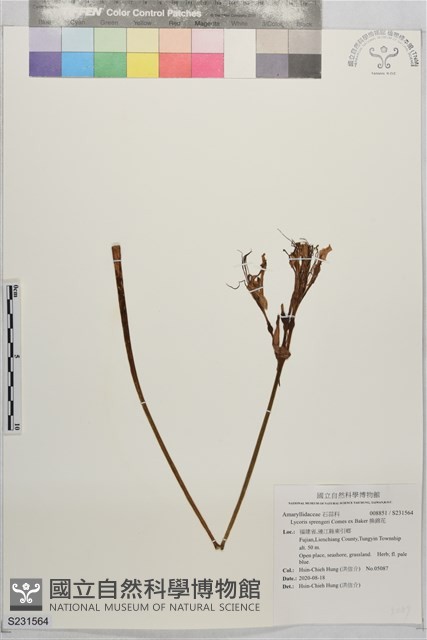 換錦花藏品圖，第1張