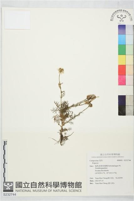 登錄號:S232744藏品圖，第1張