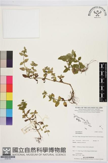 登錄號:S195744藏品圖，第1張