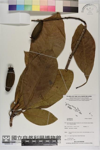 登錄號:S200244藏品圖，第1張