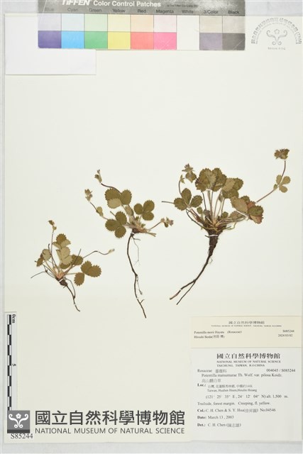 登錄號:S085244藏品圖，第1張