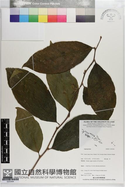 登錄號:S203444藏品圖，第1張