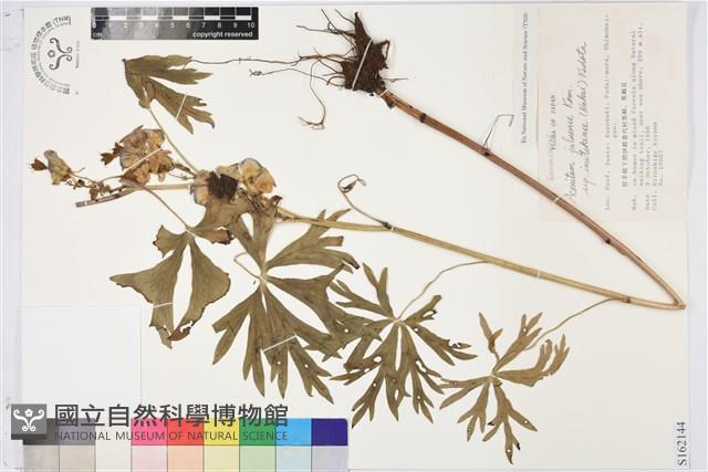 登錄號:S162144藏品圖，第1張