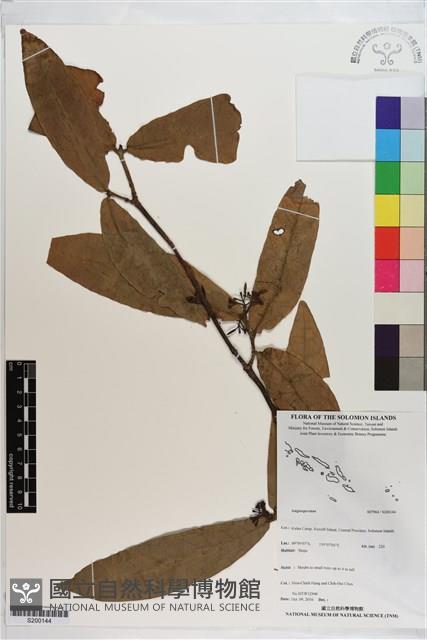 登錄號:S200144藏品圖，第1張