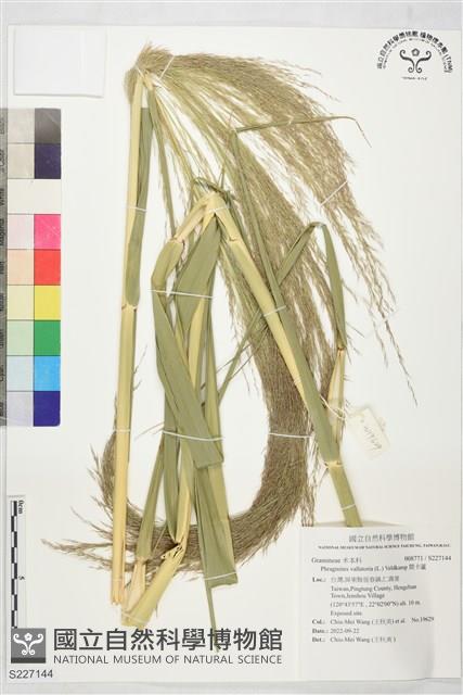 開卡蘆藏品圖，第1張