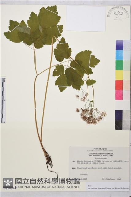 登錄號:S130844藏品圖，第1張