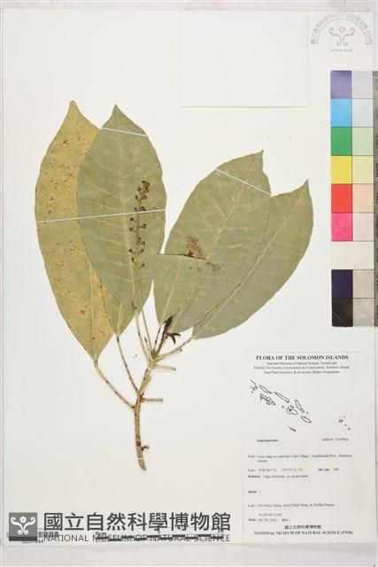 登錄號:S207844藏品圖，第1張