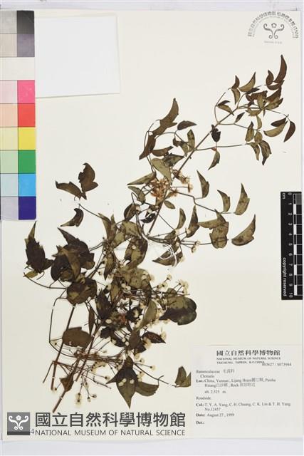 登錄號:S073944藏品圖，第1張