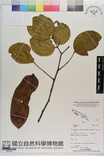 登錄號:S203544藏品圖，第1張