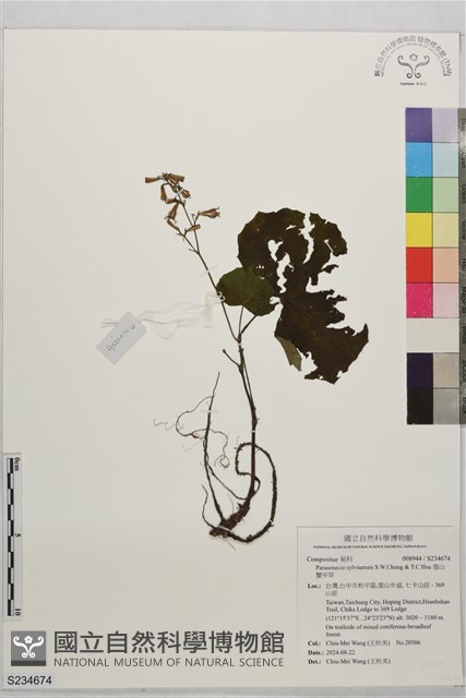 雪山蟹甲草藏品圖，第1張