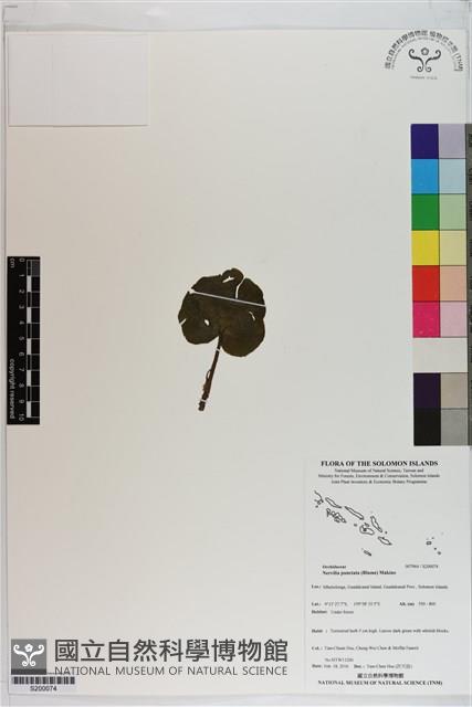 登錄號:S200074藏品圖，第1張