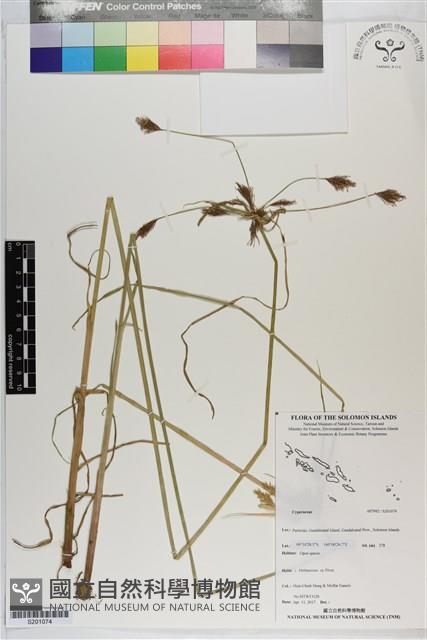 登錄號:S201074藏品圖，第1張