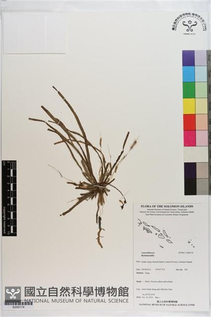 登錄號:S200174藏品圖，第1張