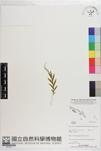 登錄號:S201374藏品圖，第1張