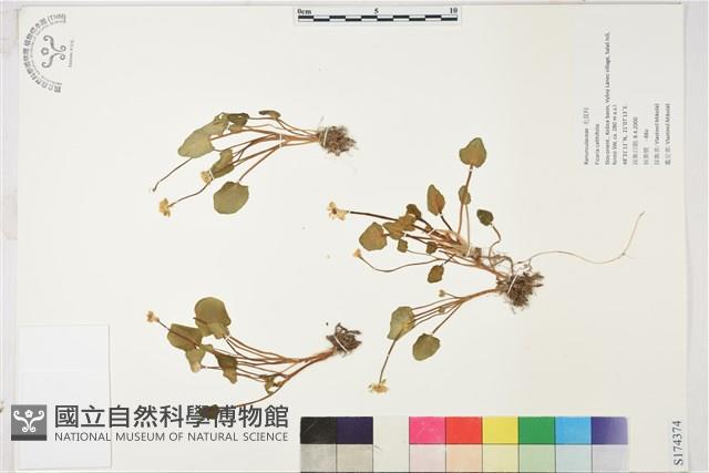 登錄號:S174374藏品圖，第1張