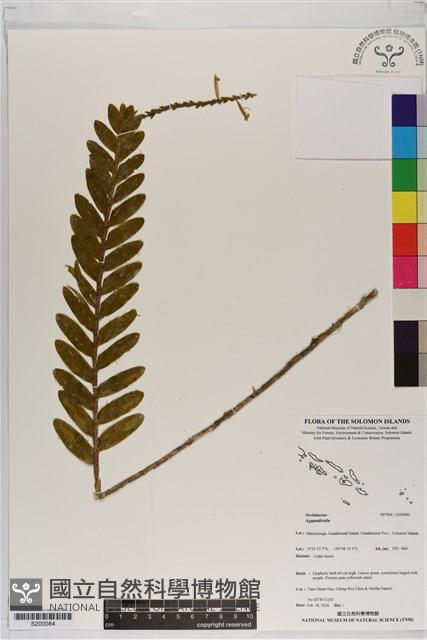 登錄號:S200084藏品圖，第1張