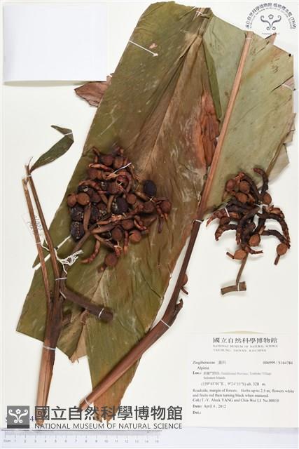 登錄號:S164784藏品圖，第1張