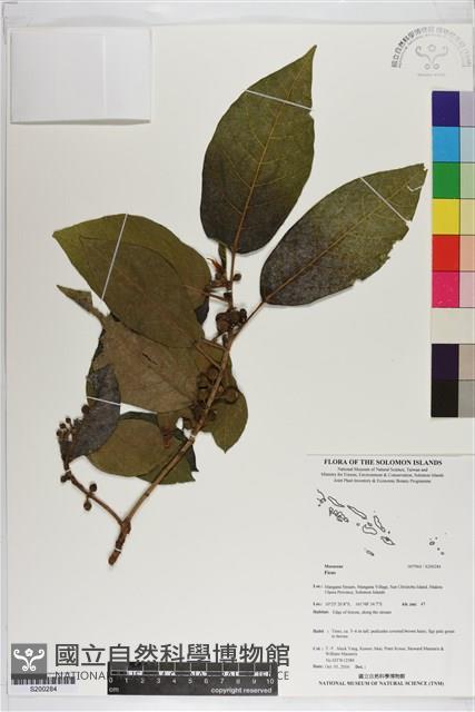 登錄號:S200284藏品圖，第1張