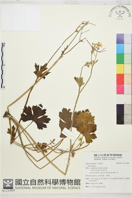 登錄號:S121484藏品圖，第1張