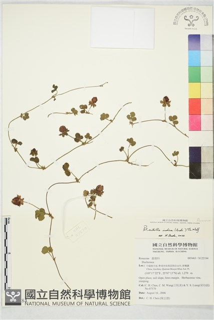 登錄號:S122184藏品圖，第1張