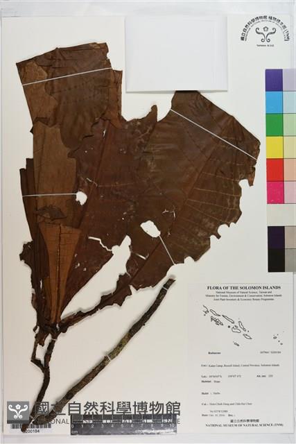 登錄號:S200184藏品圖，第1張