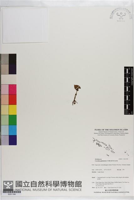 登錄號:S201184藏品圖，第1張