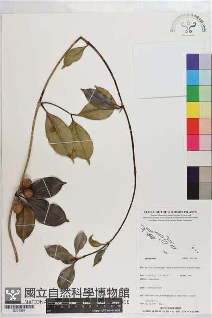 登錄號:S201384藏品圖，第1張