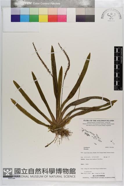 登錄號:S203384藏品圖，第1張