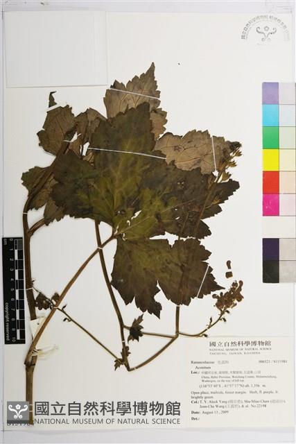 登錄號:S151984藏品圖，第1張