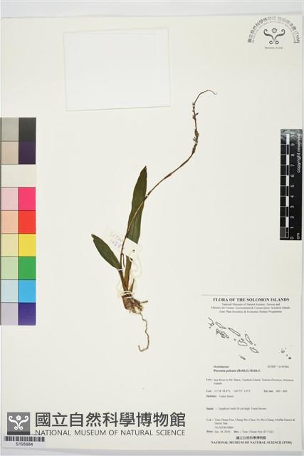 登錄號:S195984藏品圖，第1張