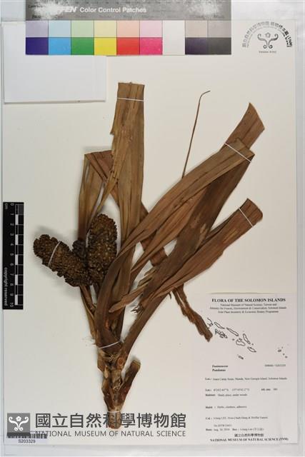 登錄號:S203329藏品圖，第1張