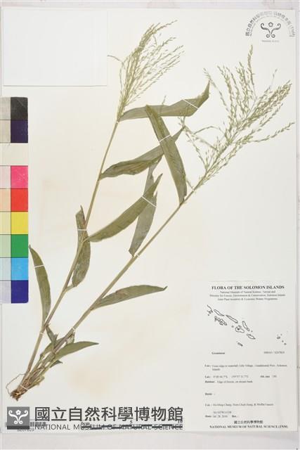 登錄號:S207829藏品圖，第1張