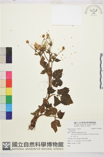 登錄號:S105529藏品圖，第1張