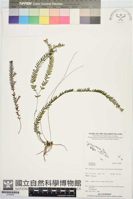 登錄號:S196009藏品圖，第1張