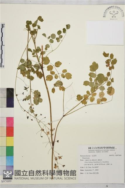 登錄號:S097009藏品圖，第1張