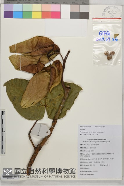 登錄號:S203709藏品圖，第1張