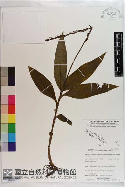 登錄號:S203209藏品圖，第1張