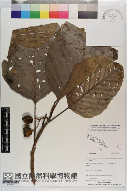登錄號:S203509藏品圖，第1張