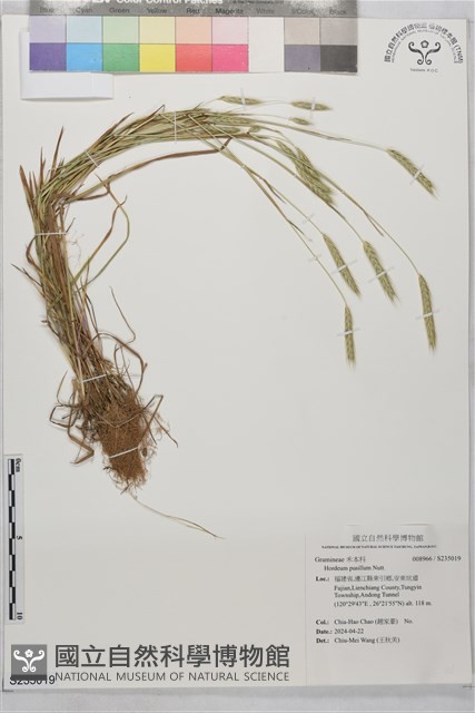 登錄號:S235019藏品圖，第1張