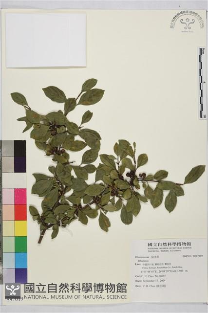 Accession Number:S097019 Collection Image