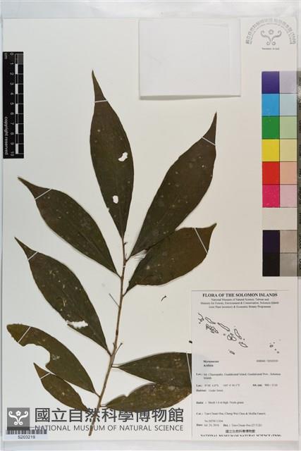 登錄號:S203219藏品圖，第1張