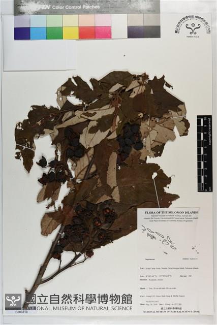 登錄號:S203319藏品圖，第1張