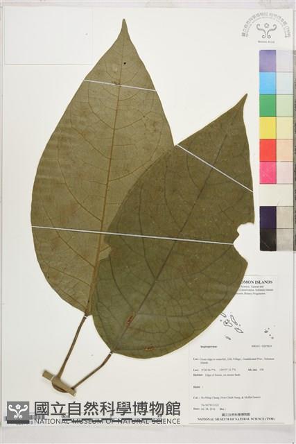 登錄號:S207819藏品圖，第1張