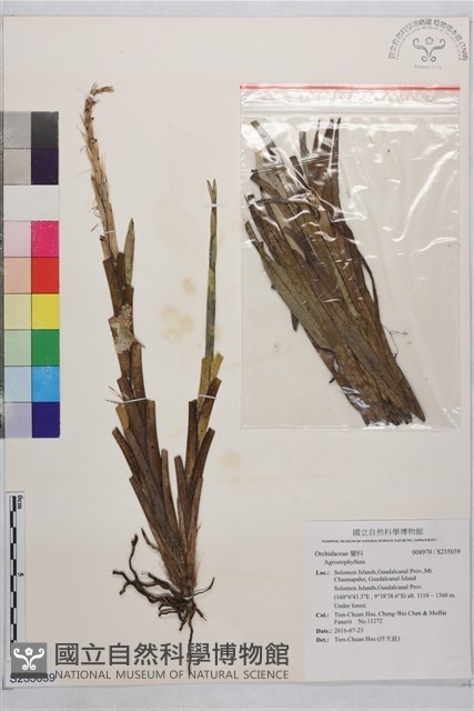 登錄號:S235039藏品圖，第1張