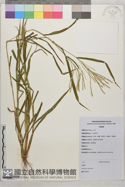 登錄號:S203739藏品圖，第1張