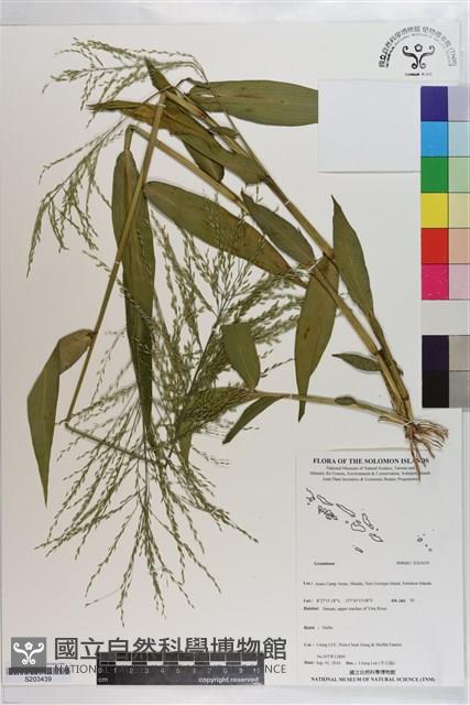 登錄號:S203439藏品圖，第1張